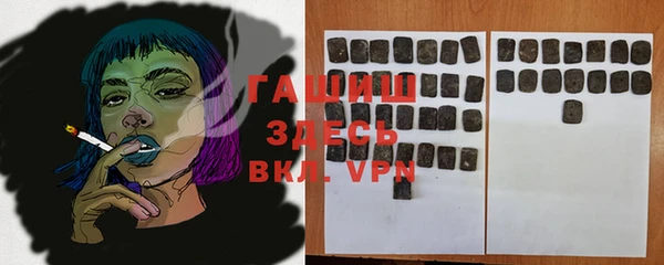 бошки Няндома