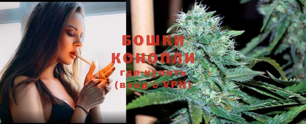 бошки Няндома