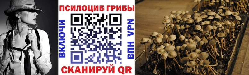 купить закладку  Уварово  Галлюциногенные грибы Magic Shrooms 